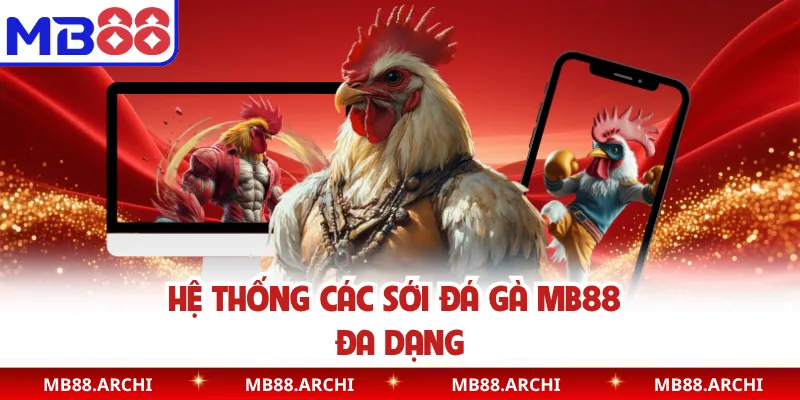 Hệ thống các sới đá gà MB88 đa dạng