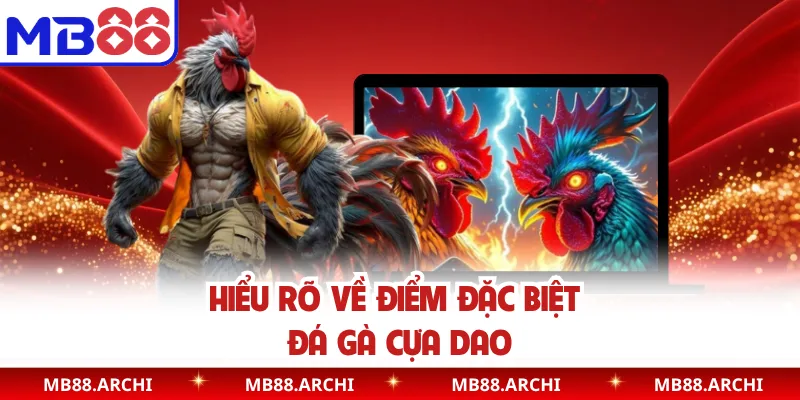 Hiểu rõ về điểm đặc biệt đá gà cựa dao